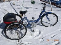 eTrike Project 019 (Medium).jpg