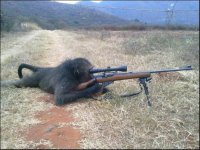 monkey sniper.jpg
