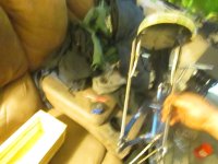 IMG_1582.JPG