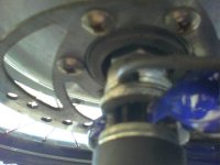 100_1023.JPG