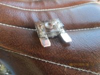 IMG_1922.JPG