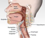headneck-cancer.jpg