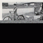 motor_unit_1948.gif motor_unit_1948.gif