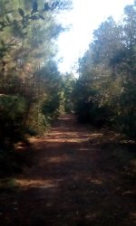 lookdownroad.jpg