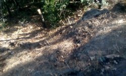 mudtracks.jpg