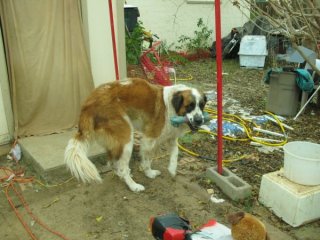 img_4488.jpg