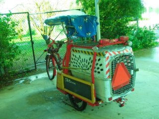 img_4525.jpg