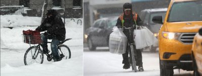 food delivery bike.JPG