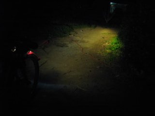 img_4566.jpg