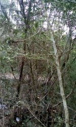 IMG_20170315_190248.jpg