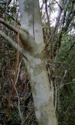IMG_20170315_190255.jpg