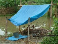 collecting-rainwater-with-plastic-tarp-tent.jpg