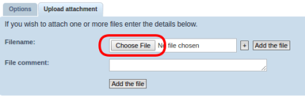 choose file.png