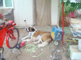 dsc06333.jpg