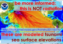 tohoku_model_tsunami_seasurfac_elevation_ignorance.png