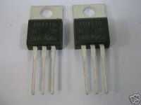 Fake 4110.JPG Fake 4110.JPG