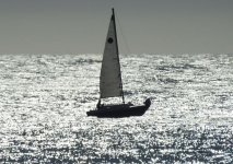 sailing.jpg