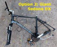 Option 2 - Giant Sedona DX.jpg