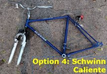 Option 4 Schwinn Caliente.jpg Option 4 Schwinn Caliente.jpg