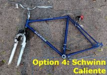 Option 4 Schwinn Caliente.jpg