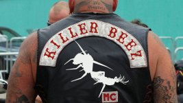 killer beez jacket2a.jpg