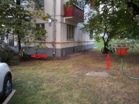 IMG_20190926_182204.jpg