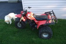 250sx.JPG