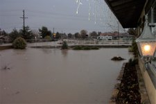 2010 flood 009.JPG