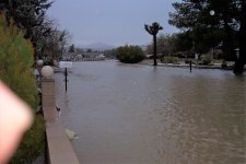2010 flood 012.JPG