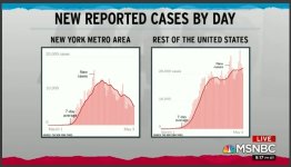 daily new cases.jpg daily new cases.jpg