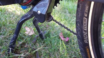 snake2.jpg snake2.jpg