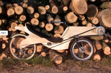 plywood bike 1.jpg