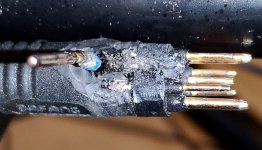 wire separated.jpg wire separated.jpg