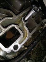 IMG_20210918_082830.jpg