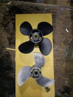 IMG_20211028_183731.jpg