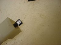DSC02478.JPG