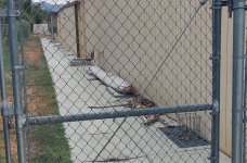 hangglider behind fence.jpg