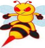 angry-bee(150).jpg
