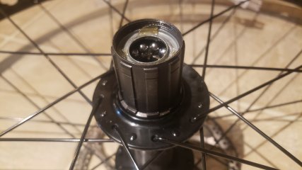 20221019_154415.jpg