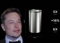 musk cell.jpg