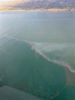 SB.OilSpill.2.jpg