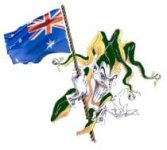 Jester_Pic_flowing _Flag.jpg