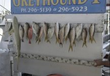 2007TrophyFish.jpg