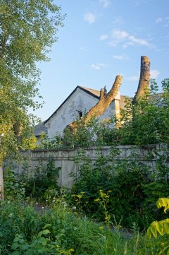 16_IMG_5092.jpg