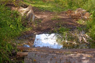 46_IMG_5125.jpg