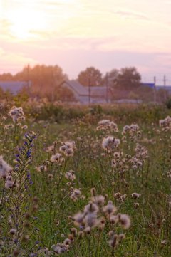 56_IMG_5368.jpg