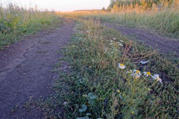 02_IMG_5223.jpg