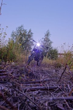 25_IMG_5267.jpg