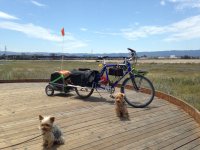 Xtracycle with Guinness and Penny.jpg