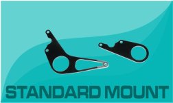 standard mount2.jpg